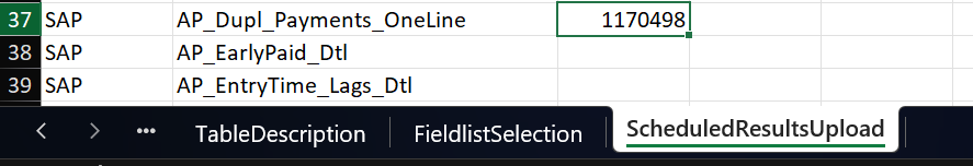 duplpayment_excel_result